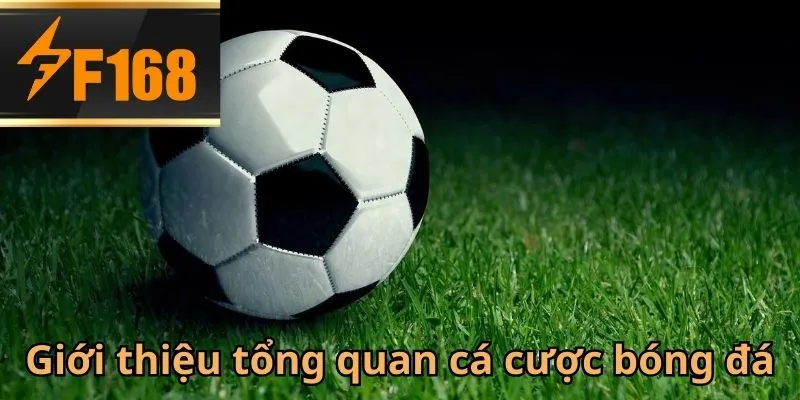 F168 nổi tiếng là sân chơi cá cược bóng đá trực tuyến 