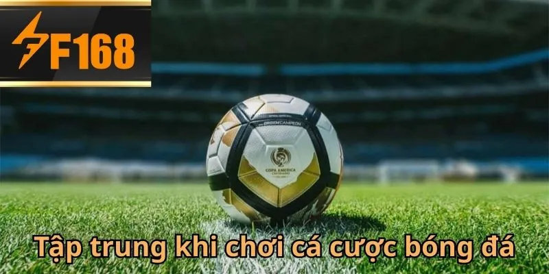 Hội viên F168 nên tập trung và giữ sự tỉnh táo khi cá cược bóng đá