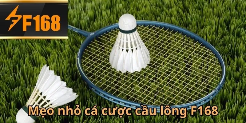 Bật mí mẹo giành chiến thắng khi Cá Cược Cầu Lông F168