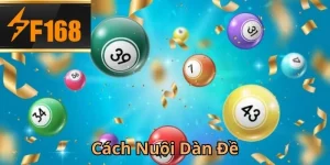 cach-nuoi-dan-de