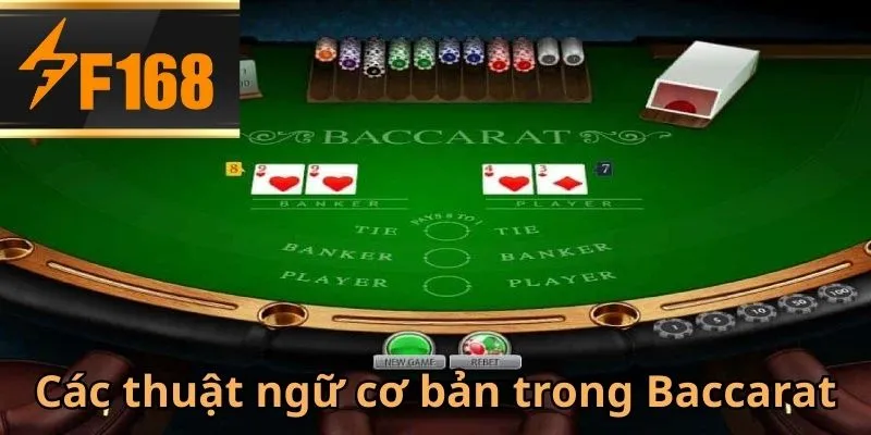 Giới thiệu danh sách thuật ngữ cơ bản trong game bài Baccarat